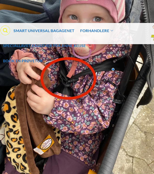 Smart Bagagenet til Ladcykler v3.0