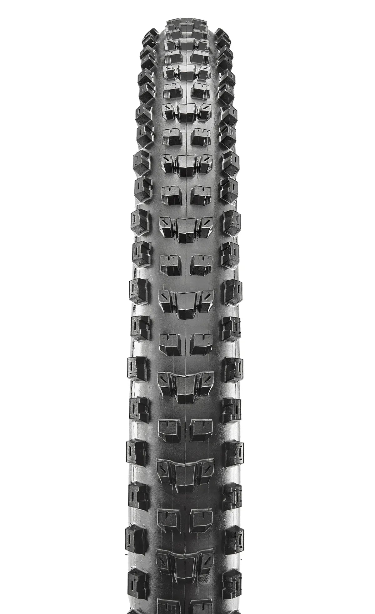 Maxxis – Dissector 29 x 2.40WT