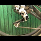 Peaty's Foaming Drivetrain Degreaser