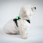 Reelight Switch light - Klips lygte til hund, kat, rygsæk mv.
